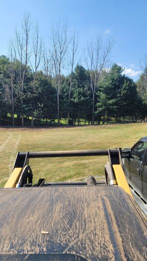 View from a skid steer of a grassy field with trees in the background under a blue sky.