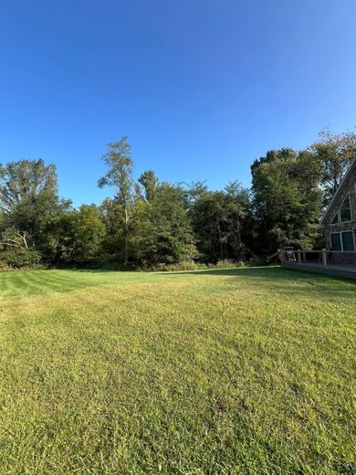 Green field in sunlight, trees in the background under a blue sky.