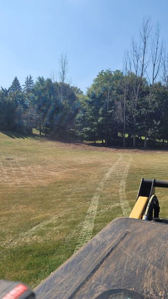 Lawn mower cutting grass in a sunny yard with trees in the background under a blue sky.