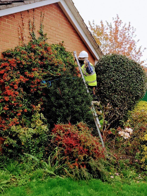 Person on a ladder trimming a bush next to a brick house. They wear a helmet and yellow vest.
