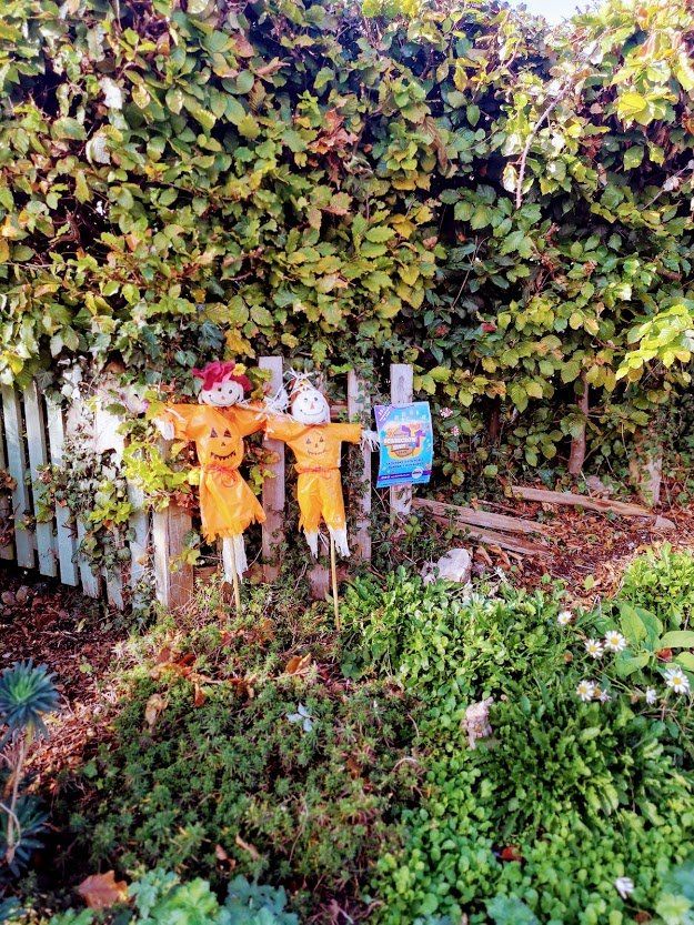 Two scarecrows in a garden by a fence. One wears orange, the other yellow. Green foliage surrounds them.