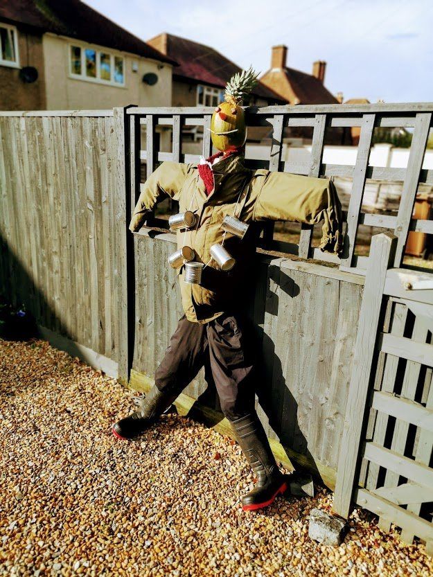 Scarecrow made of clothes leans against a wooden fence, wearing a pineapple hat.
