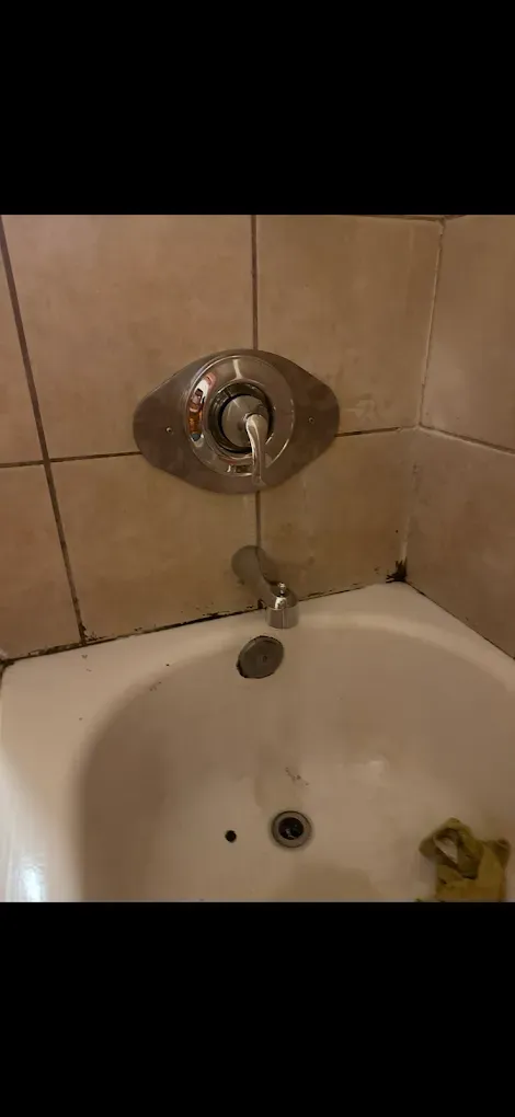A chrome bathtub faucet and single-handle mixing valve mounted on a tiled wall above a white tub.