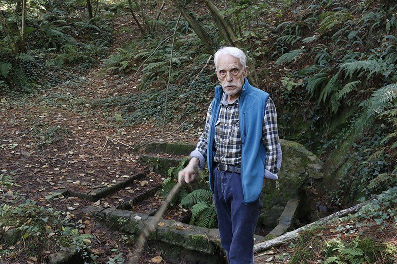 Hombre mayor en el bosque, chaleco azul, camisa a cuadros, sosteniendo un palo, de pie cerca de una estructura de piedra cubierta de musgo.