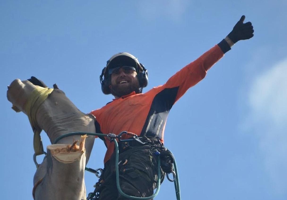 Autumn Tree Care in Leeming & Fremantle  

