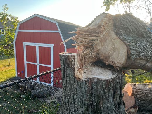 A tree stump is sitting in front of a red barn.