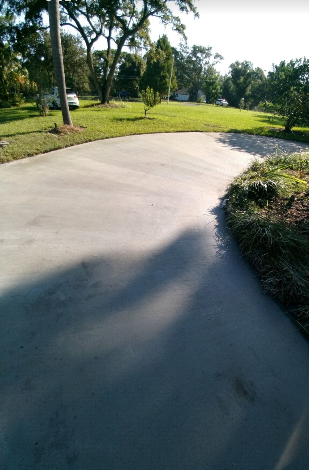 A concrete driveway with trees on the side of it.
