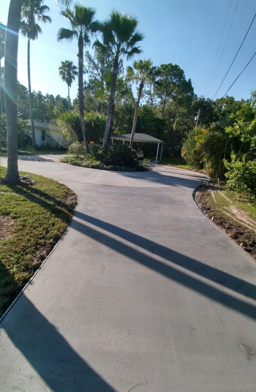 A concrete driveway with palm trees on the side of it.
