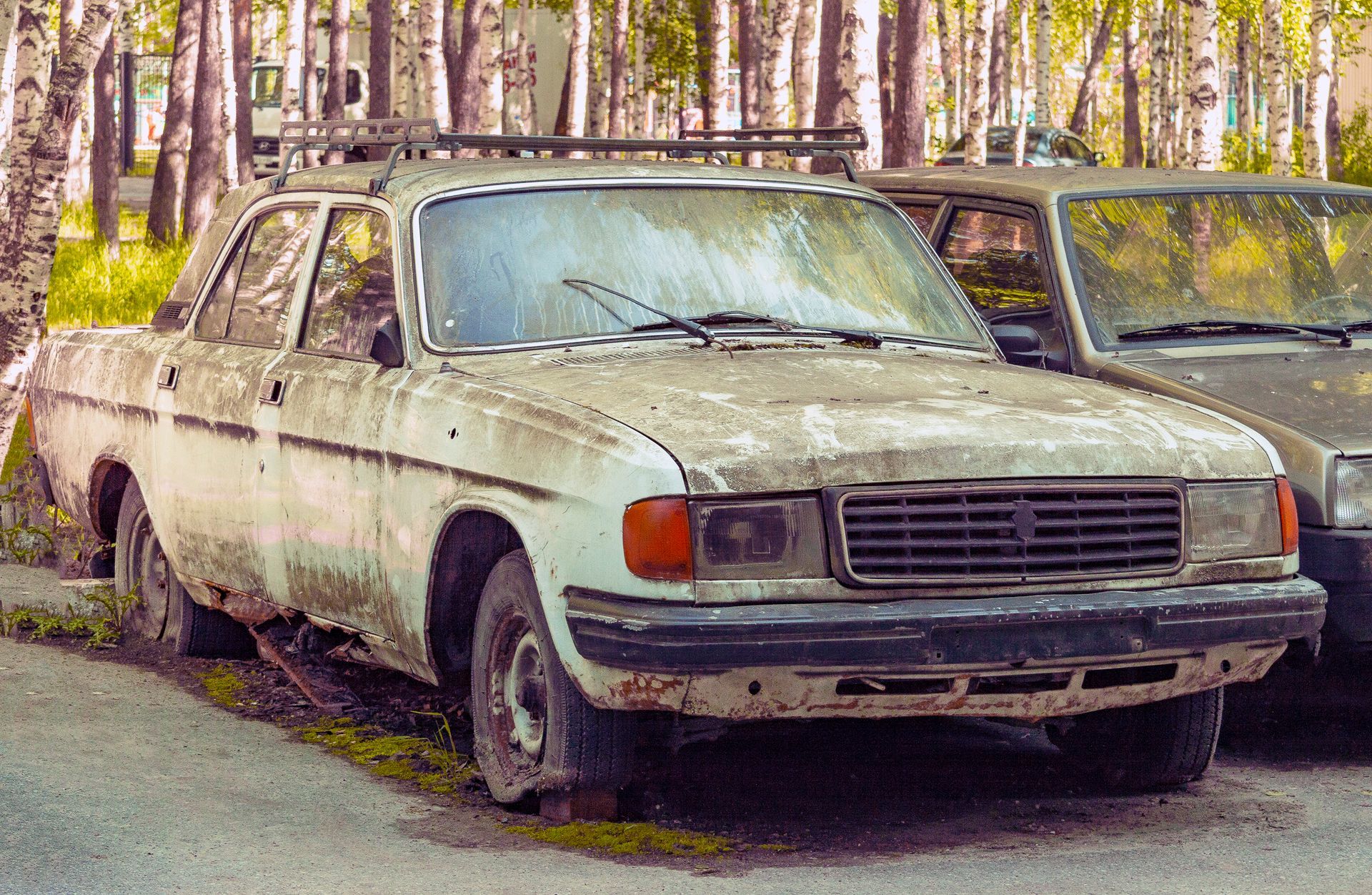 White, dilapidated car with roof rack parked by trees.