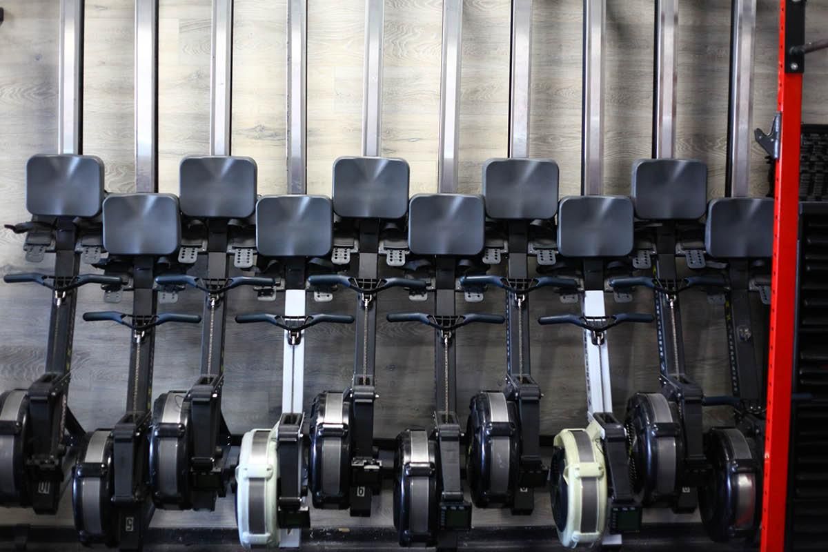 A row of rowing machines are lined up in a gym.