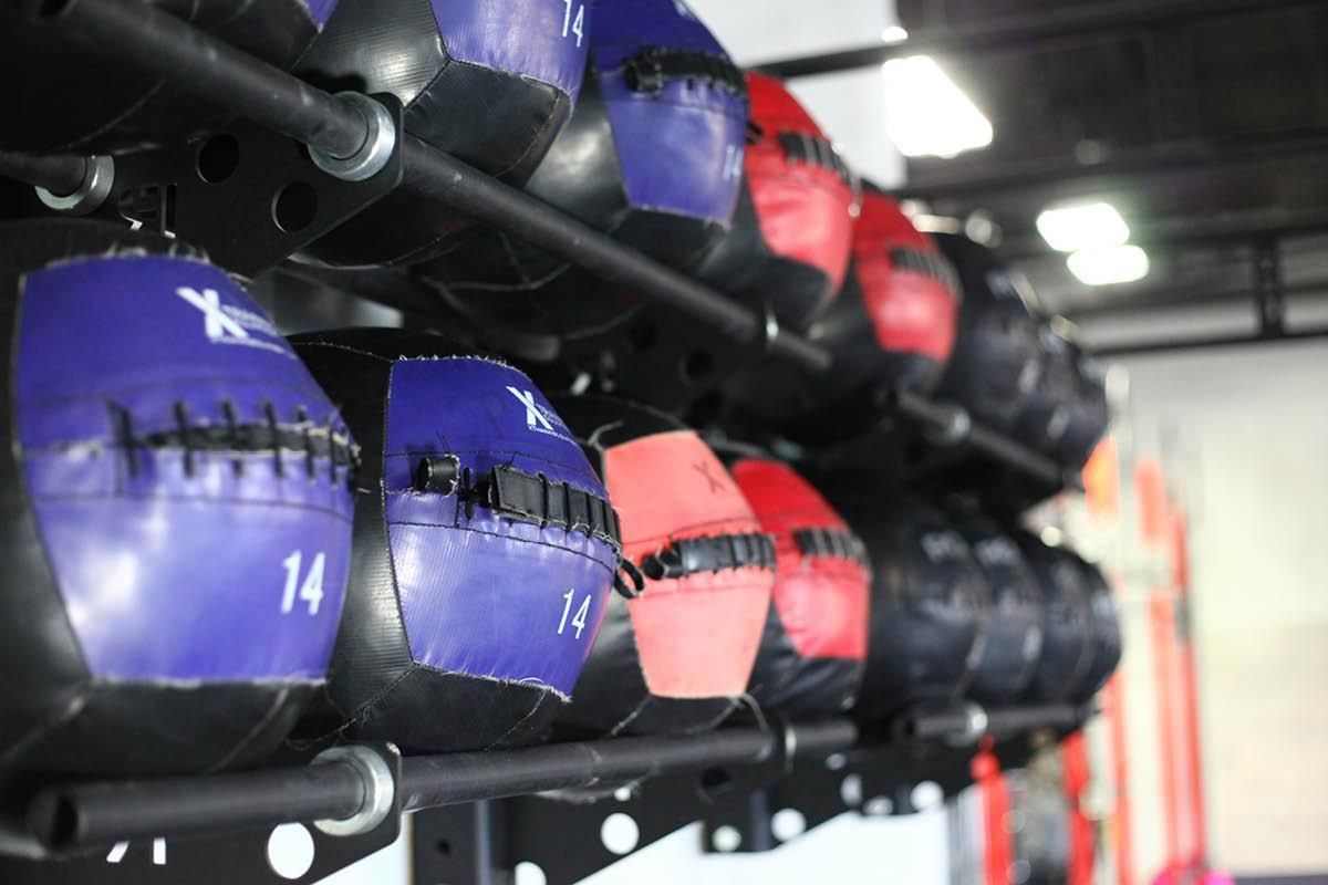 A row of medicine balls hanging on a rack in a gym.