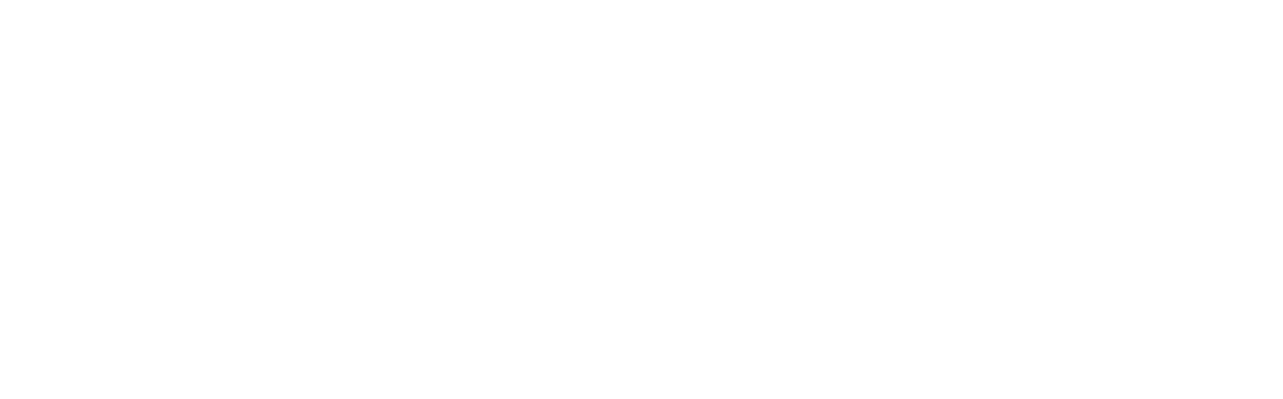 Stress Less Tech Solutions Logo in all white