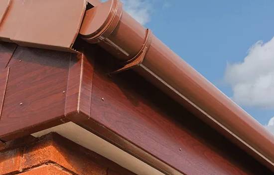 allontanamento di volatili dalle grondaie