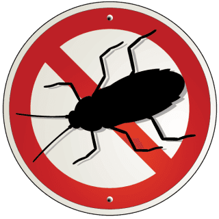 rappresentazione disinfestazione da scarafaggi