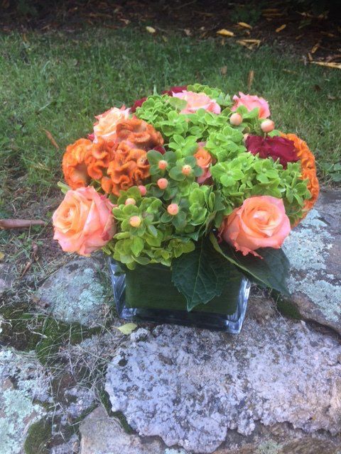 Green Hydrangea with Coral
