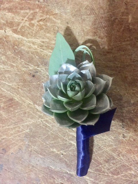 Succulent Boutonniere