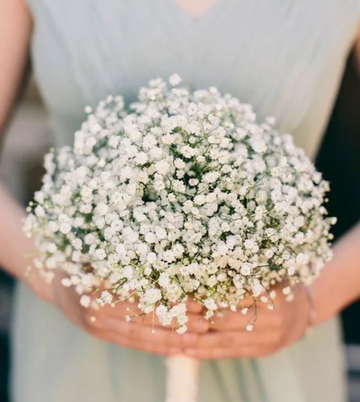 A woman is holding a bouquet of baby 's breath in her hands.