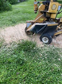 A stump grinder is cutting a tree stump in the grass.