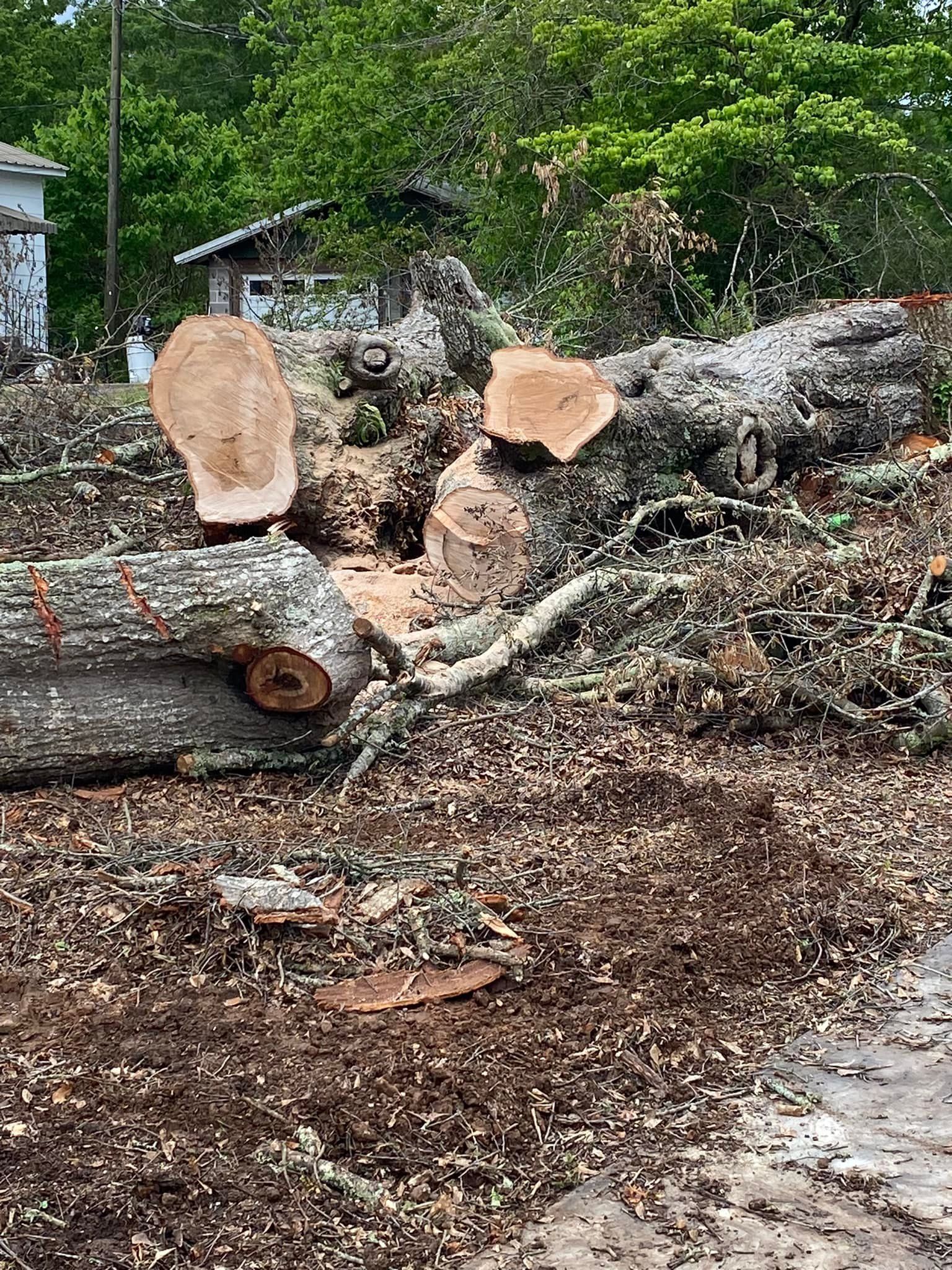 A pile of logs laying on the ground in a yard.