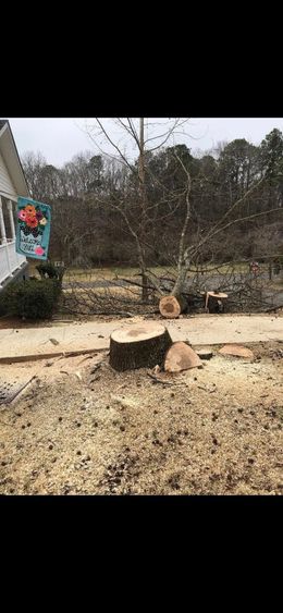 A tree stump is sitting in the dirt in front of a house.