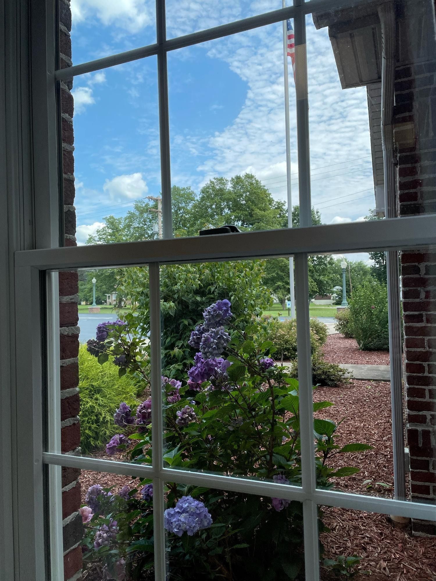 A window with a view of a garden with purple flowers and a flag.