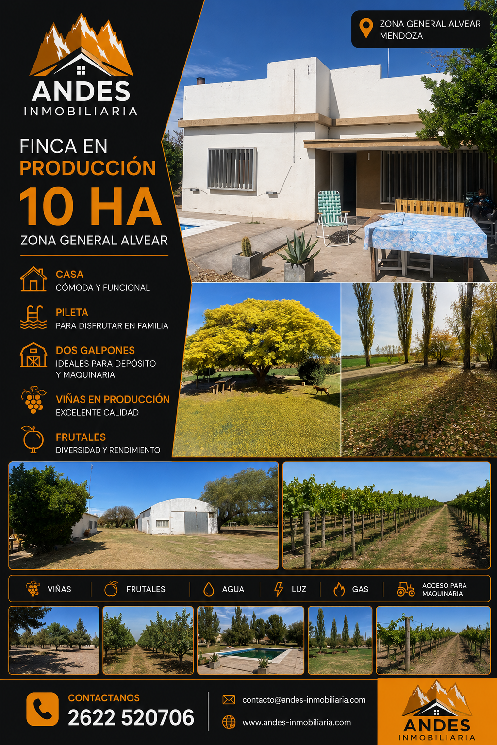Anuncio inmobiliario de una finca vitivinícola de 10 hectáreas con casa, jardines y vistas a la montaña en los Andes, Mendoza.