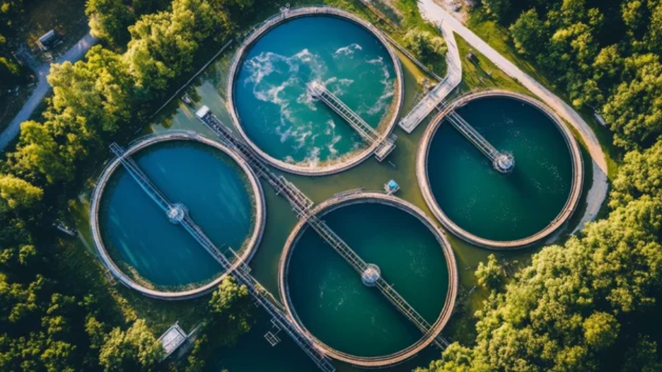 Vista aérea de quatro tanques circulares de tratamento de águas residuais cercados por árvores.