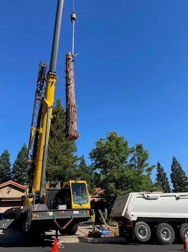 A crane lifting a tall tree trunk, with a dump truck and blue sky in the background.
