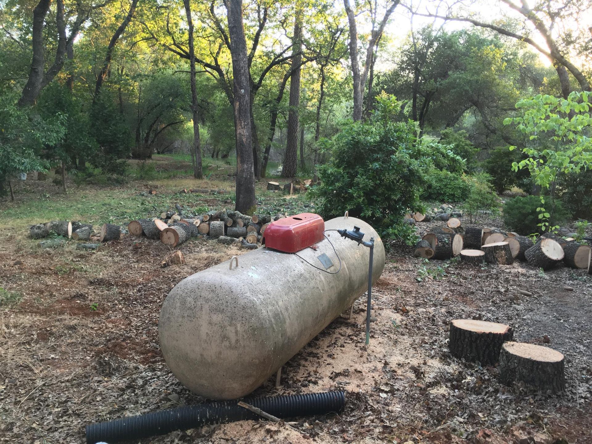 Large, cylindrical propane tank with red top in a wooded area. Logs and trees surround the tank, on dirt.
