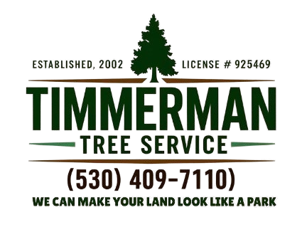 Logo for Timmerman Tree Service, featuring a pine tree icon, name, phone number, and slogan.