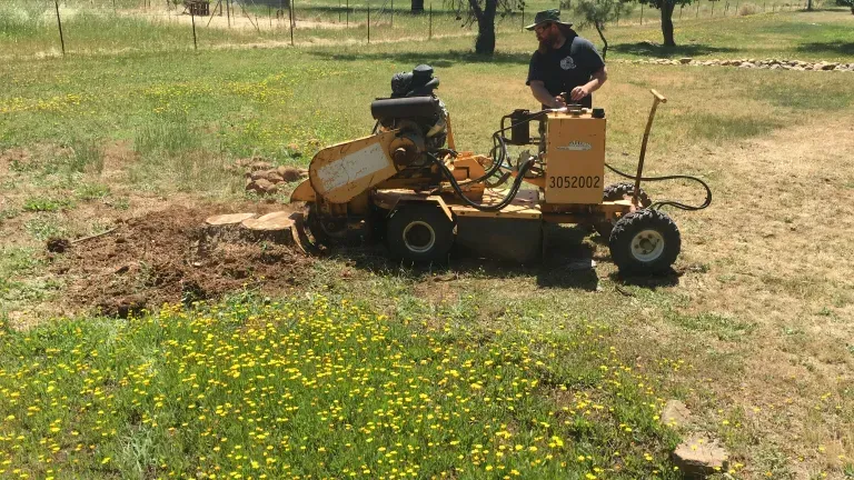 A man operating a yellow stump grinder on grassy land.