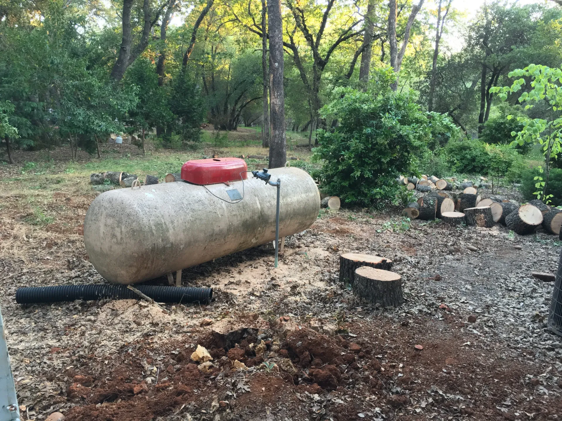 Propane tank in yard with cut logs and surrounding trees.