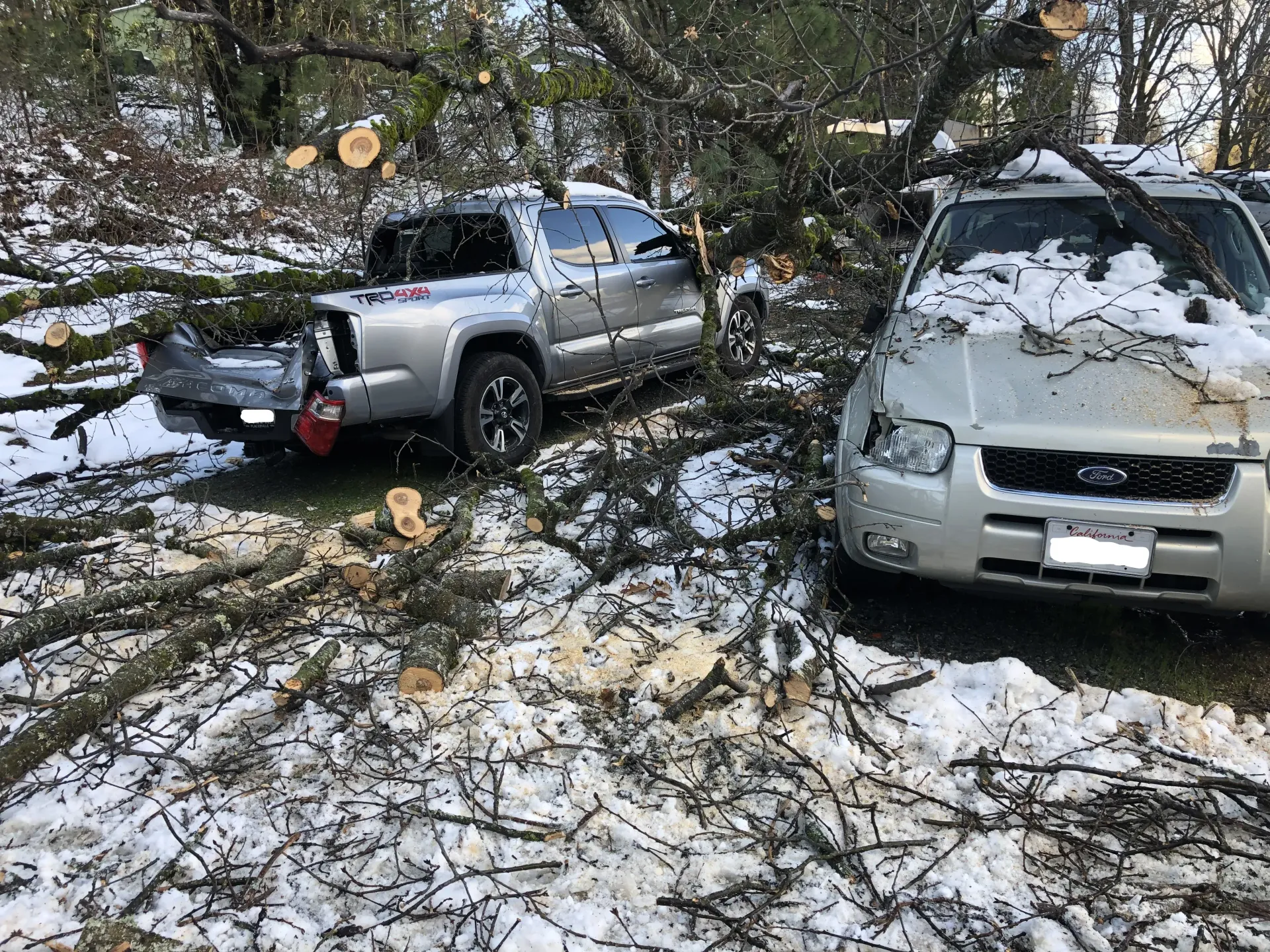 Snowy scene: Tree branches on silver pickup truck and SUV. Chopped tree sections on snow.