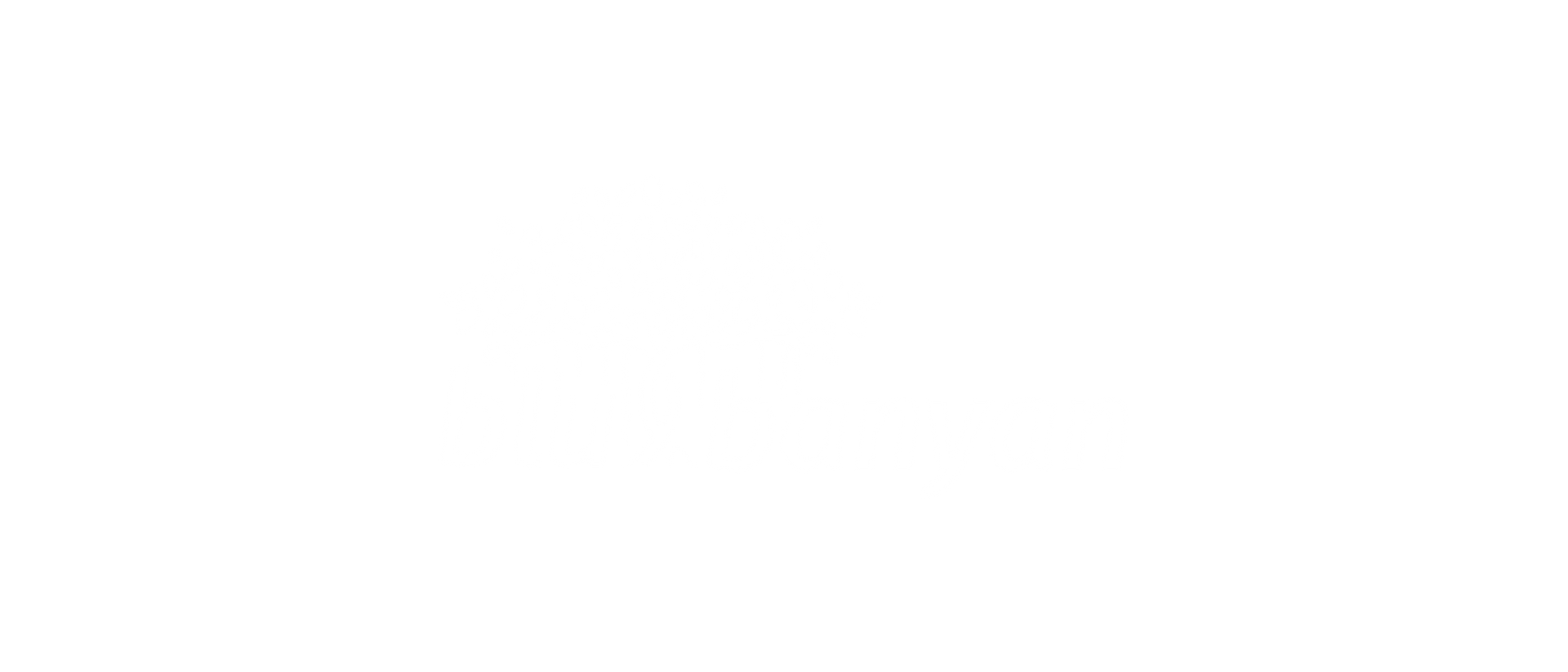 BluBanyan Logo