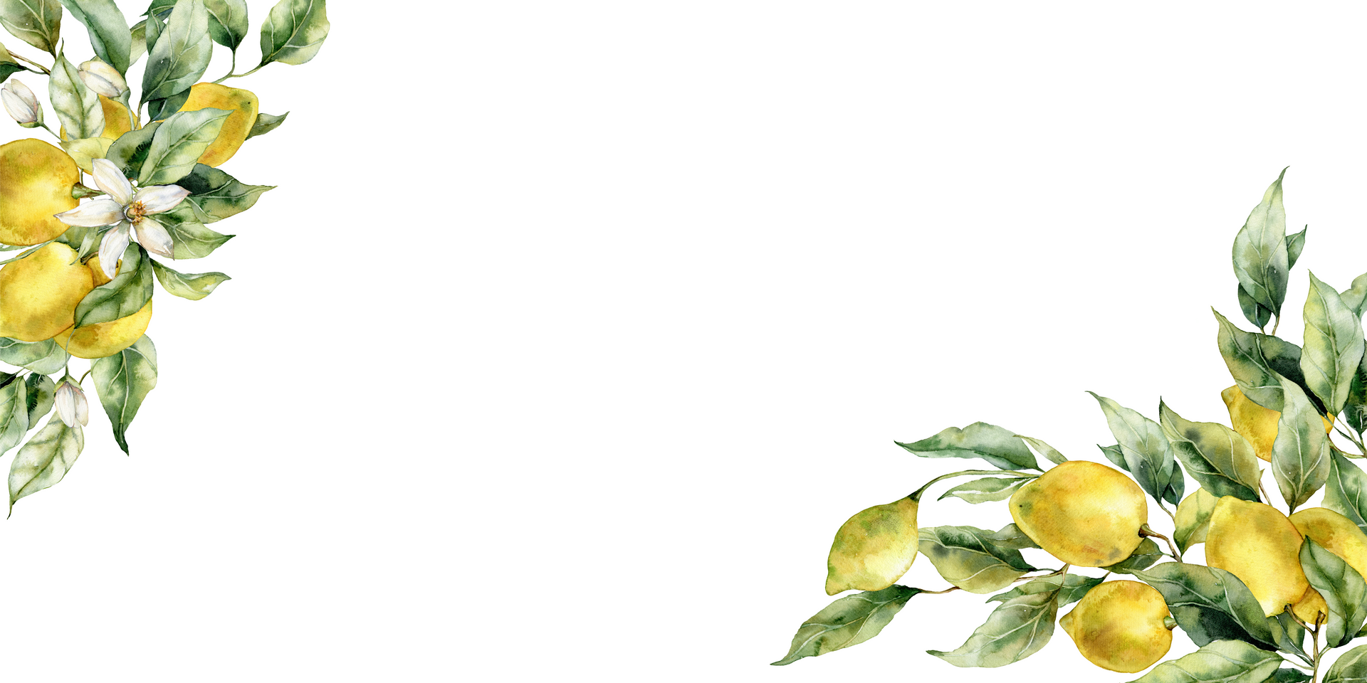 A watercolor painting of a lemon tree with lemons and leaves on a white background.