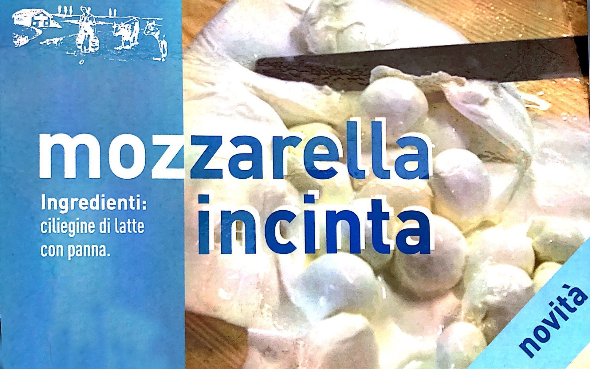 mozzarella incinta