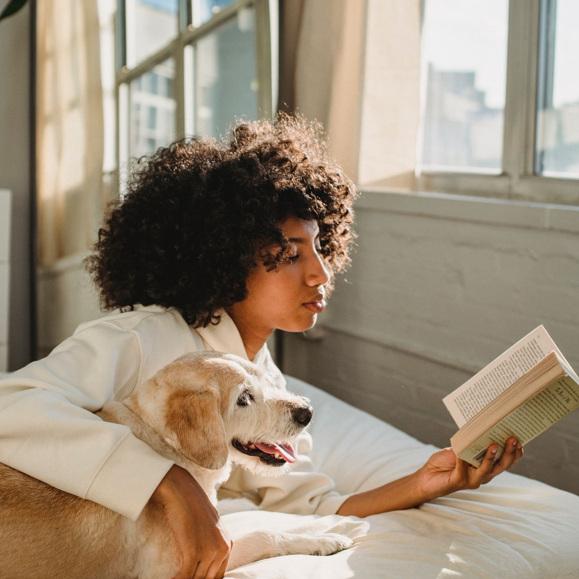 Person with curly hair reads a book in bed, cuddling a golden retriever dog. Sunlight streams in.