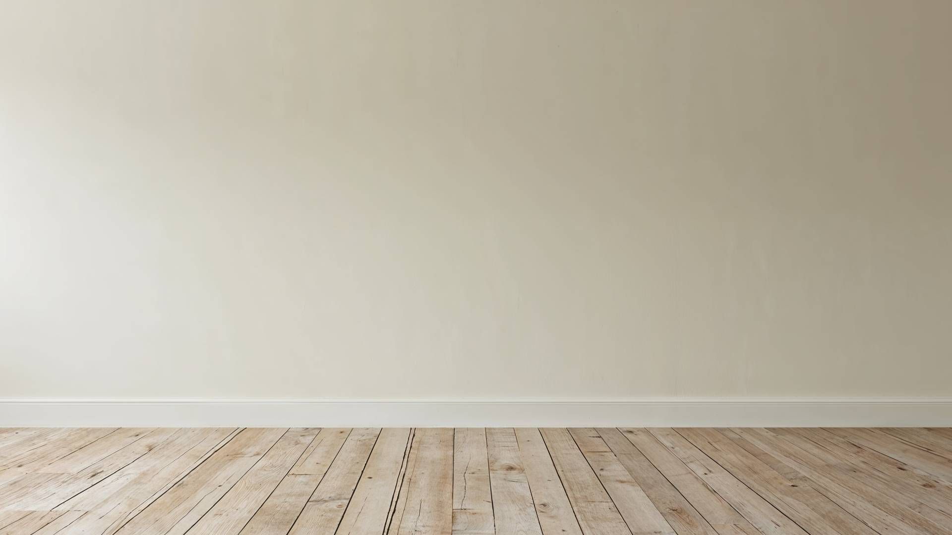 A freshly painted wall with an ivory shade of paint at 21st Century Paints near Holland, Ohio (OH)