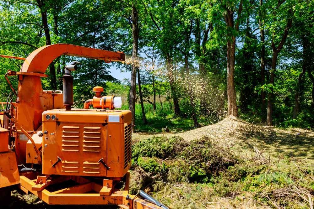 A Tree Chipper is Cutting Down Trees in a Forest — George's Tree Services in Iluka, NSW