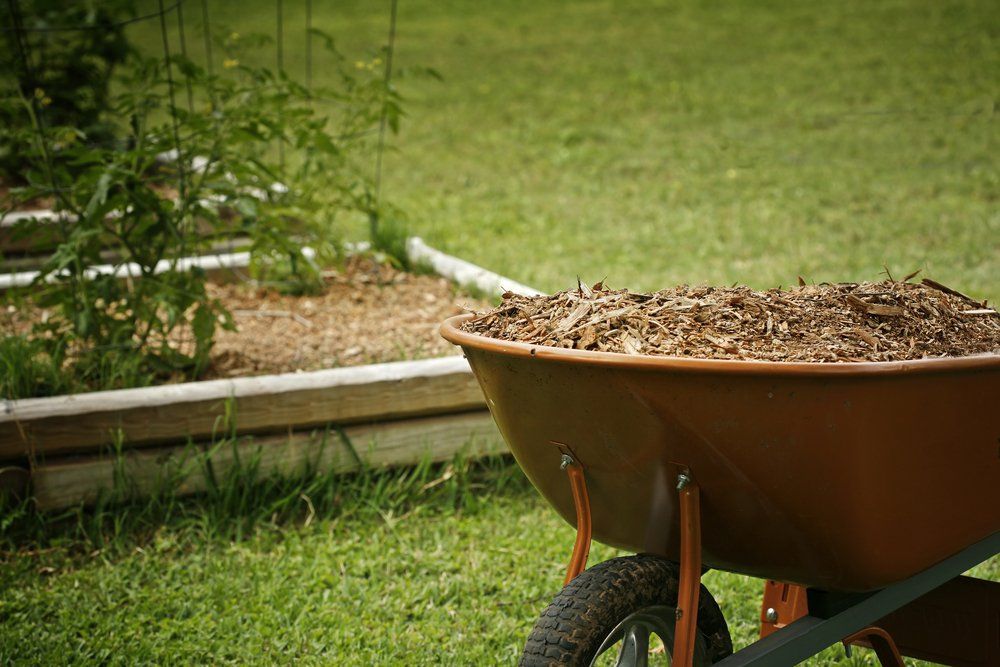 Mulches — George's Tree Services in South Grafton, NSW