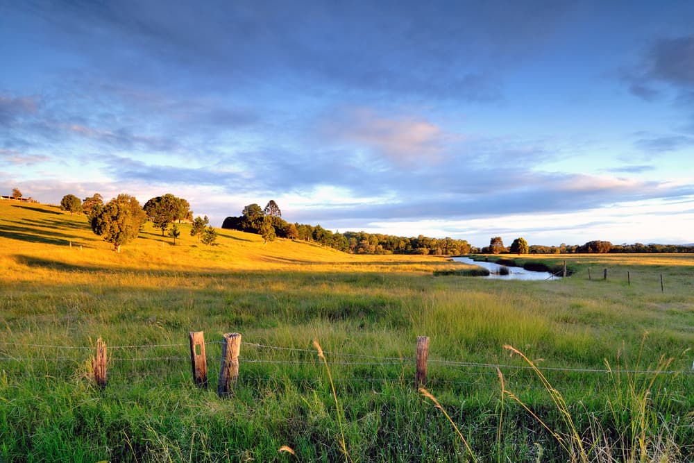 Clarence Valley — George's Tree Services in Clarence Valley, NSW