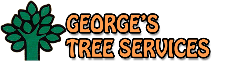 George’s Tree Services: Professional Arborists & Tree Loppers