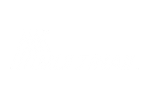 Logo with a mountain range and text: Dalmar Konwersje Bty.
