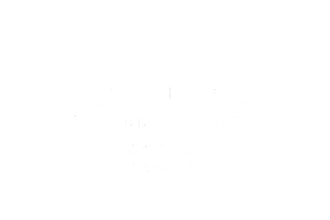 Logo with a mountain range and text: Dalmar Konwersje Bty.