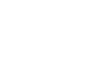Logo with a mountain range and text: Dalmar Konwersje Bty.