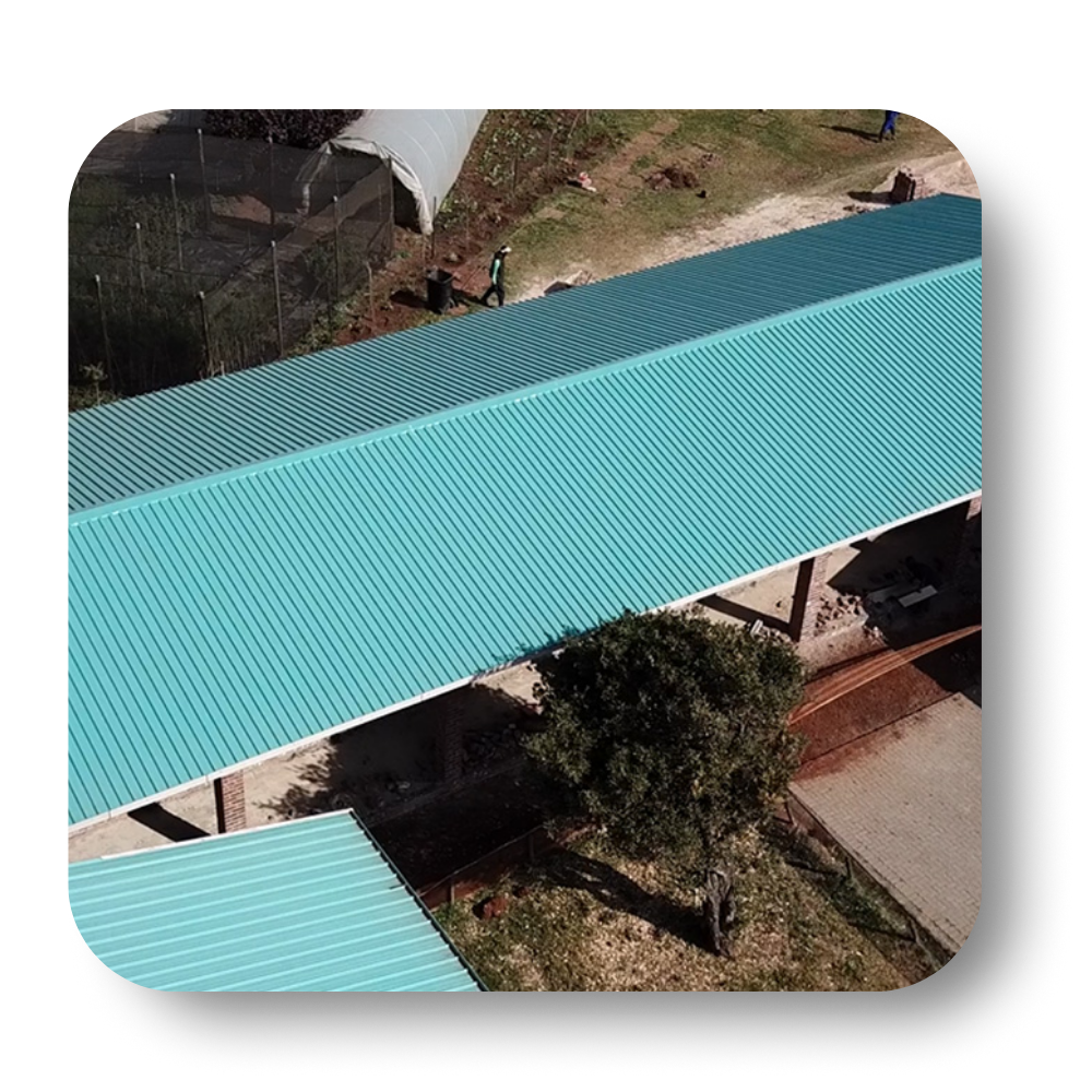 Overhead view of school buildings with teal roofs and a tree casting a shadow.