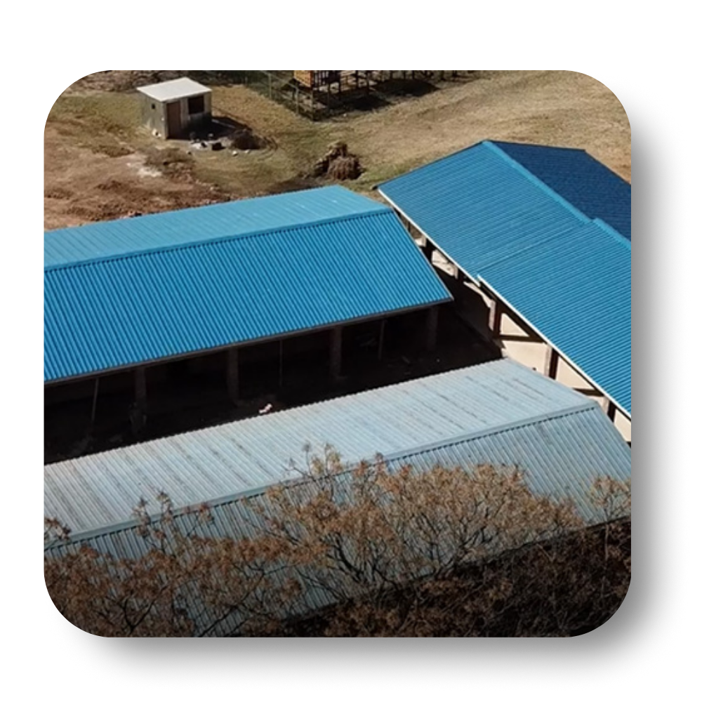 Overhead view: Blue and silver corrugated metal roofs on farm buildings, a small shed in the background.