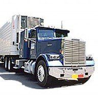 Transport Truck, Export Shipping in Tampa, FL