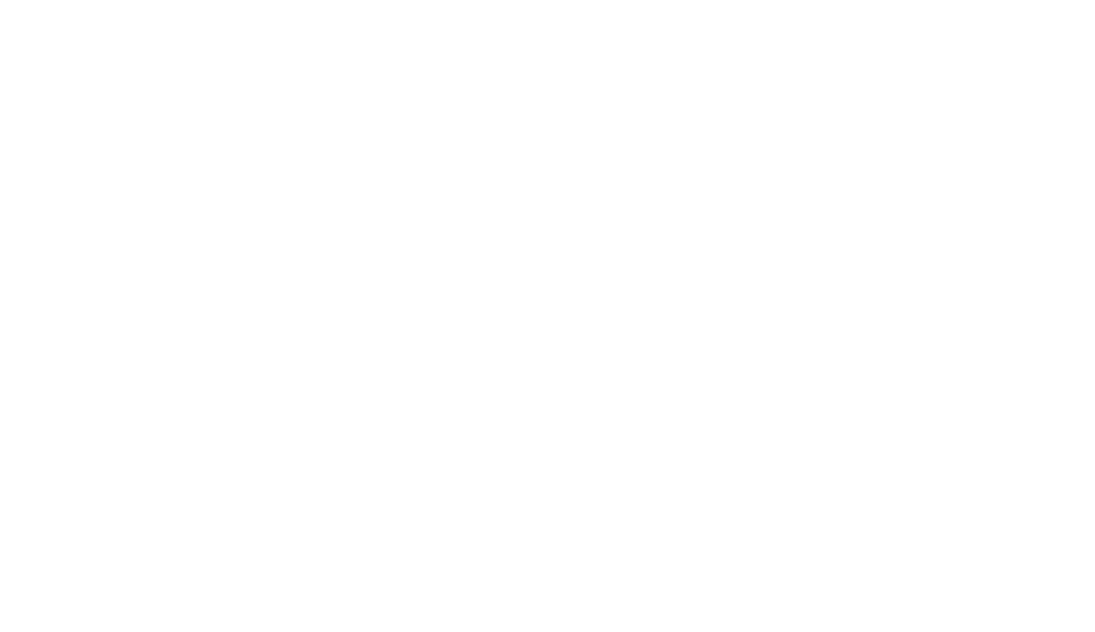 The Foot Store