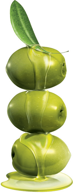 Prime Health Physiotherapy